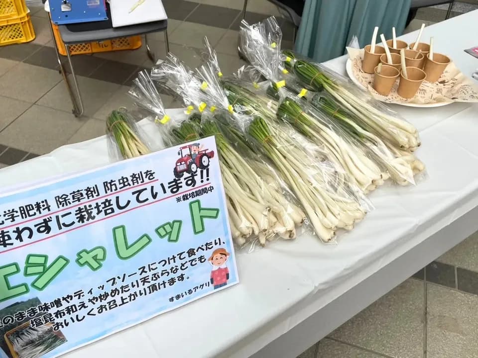 エシャレット（若採りらっきょう） シャキシャキ食感 味噌つけてそのまま丸かじり 茨城県産（農薬・化学肥料・除草剤・防虫剤不使用）