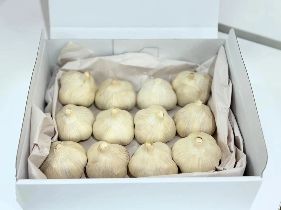 贈り物にも◎ 福地ホワイト六片にんにく  大玉Lサイズ以上 栽培期間中農薬・化学肥料不使用／大玉・ギフト・贈答用