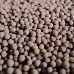 ５００g