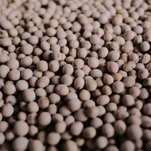 500g