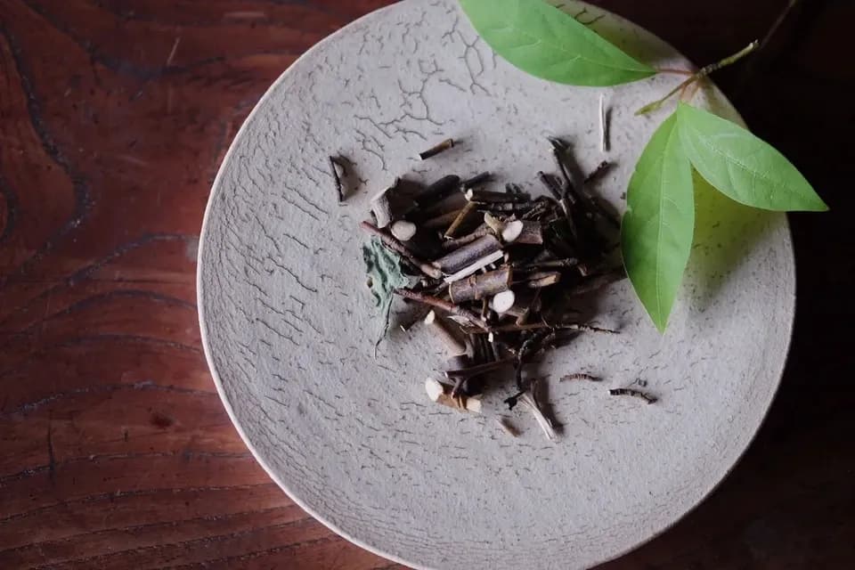 杣小屋のクロモジ茶