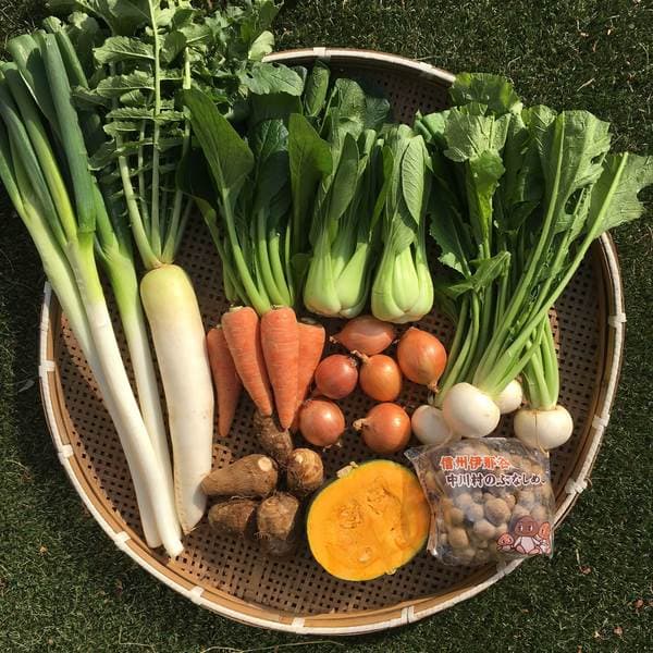 自然栽培（無農薬・無肥料の自然農法）野菜セット