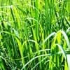 サムネイル 18