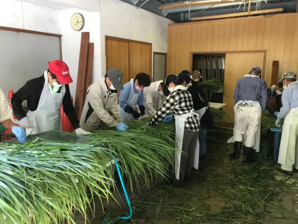 母の日におすすめからだ想いセット。お茶漬けアソート &  大和茶（粉末）ギフト