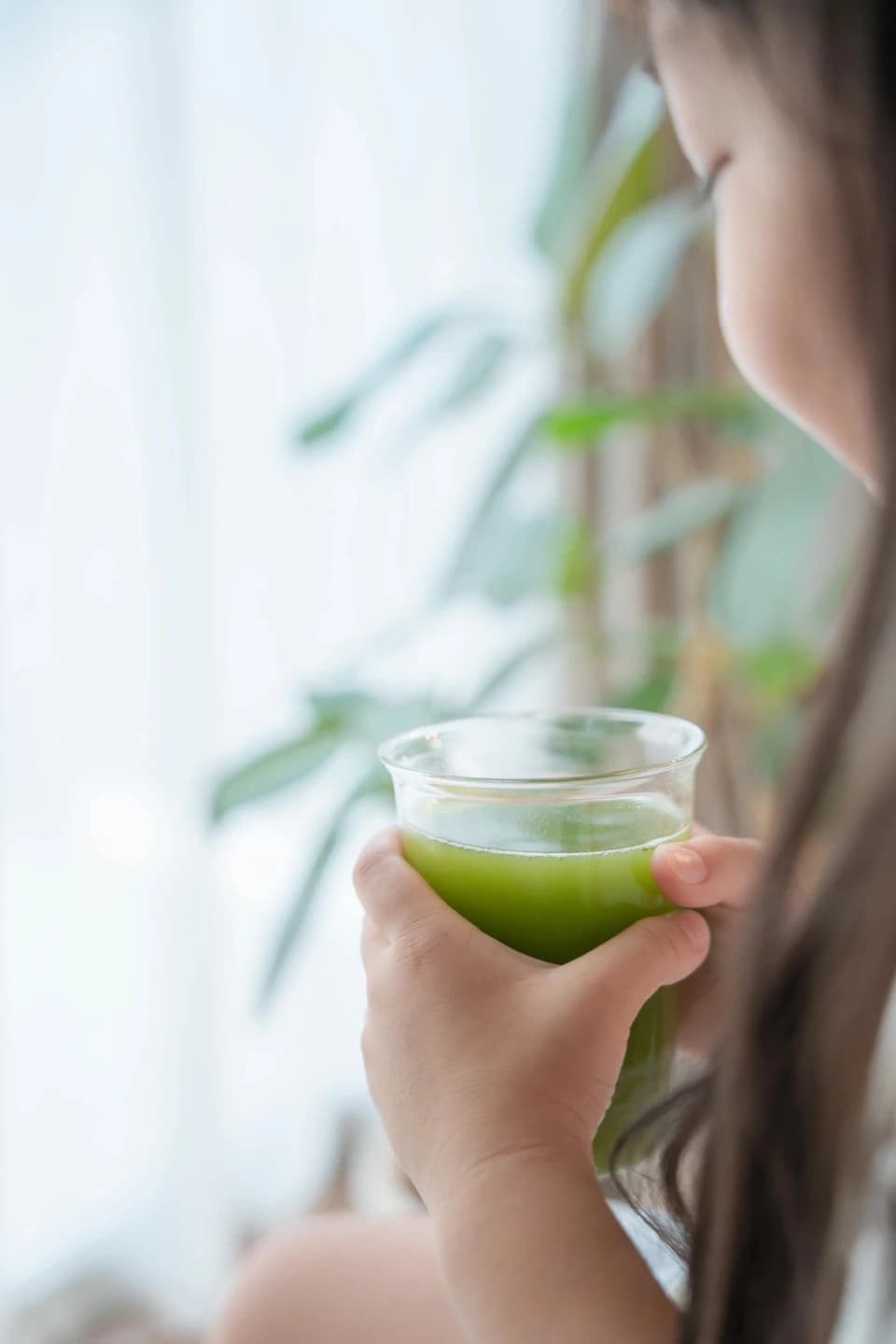 【農薬不使用緑茶粉末】おまもり大和茶30包入　