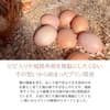 サムネイル 6