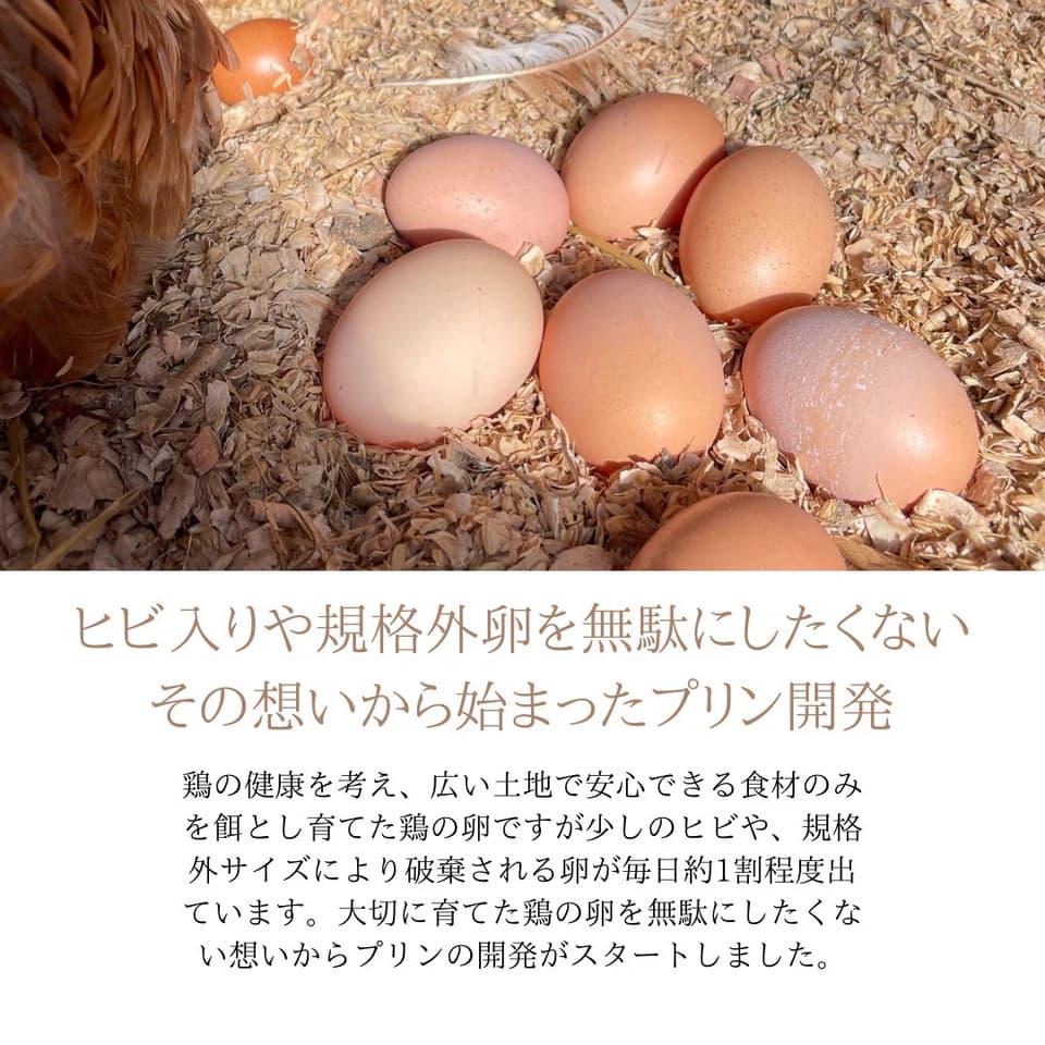 牛乳を使わないプリン｜オーガニックオーツミルク使用｜有機豆乳使用｜ギフトや贈答にも最適｜