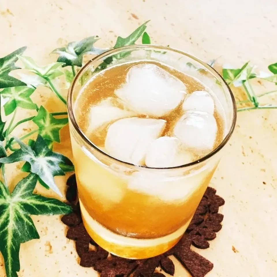 酵素酢 柿の神髄 ご家庭用