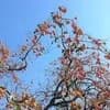 サムネイル 11