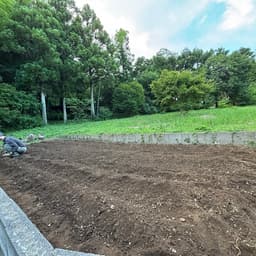 庭に小さな畑を作りました