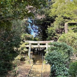 ２０２６年もどうぞよろしくお願いいたします。