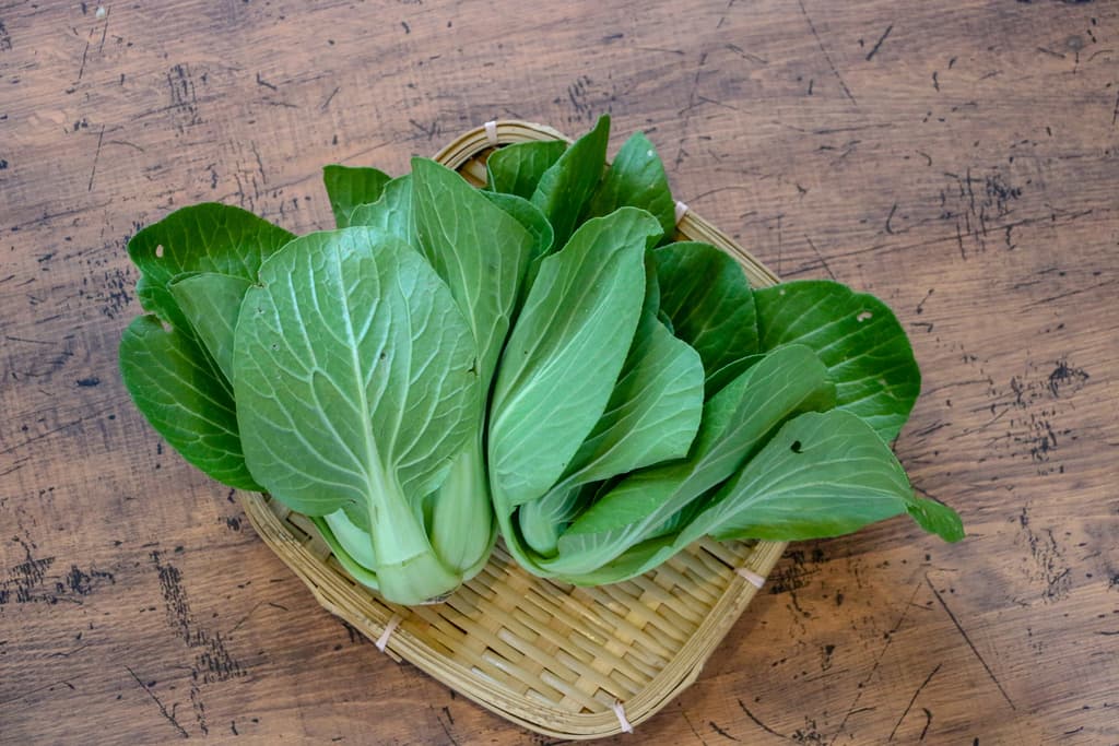無農薬　チンゲン菜