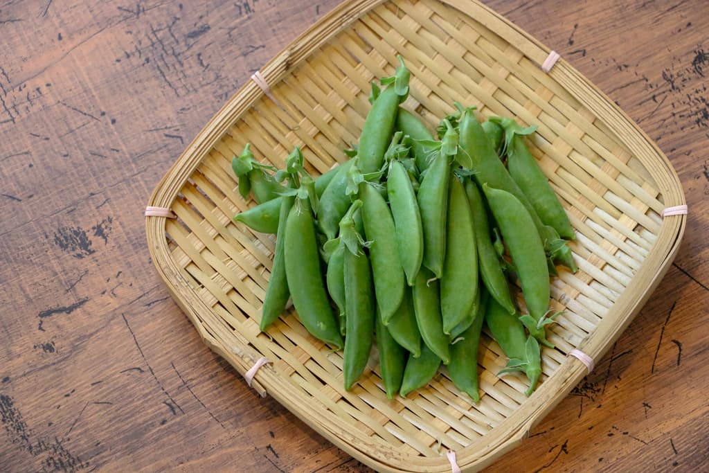 無農薬　スナップエンドウ