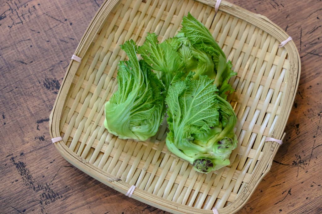 無農薬　春雷（子持ち高菜）