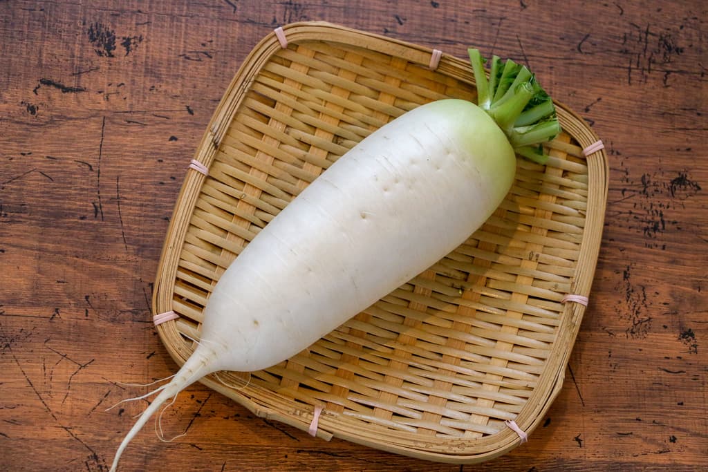 無農薬　大根
