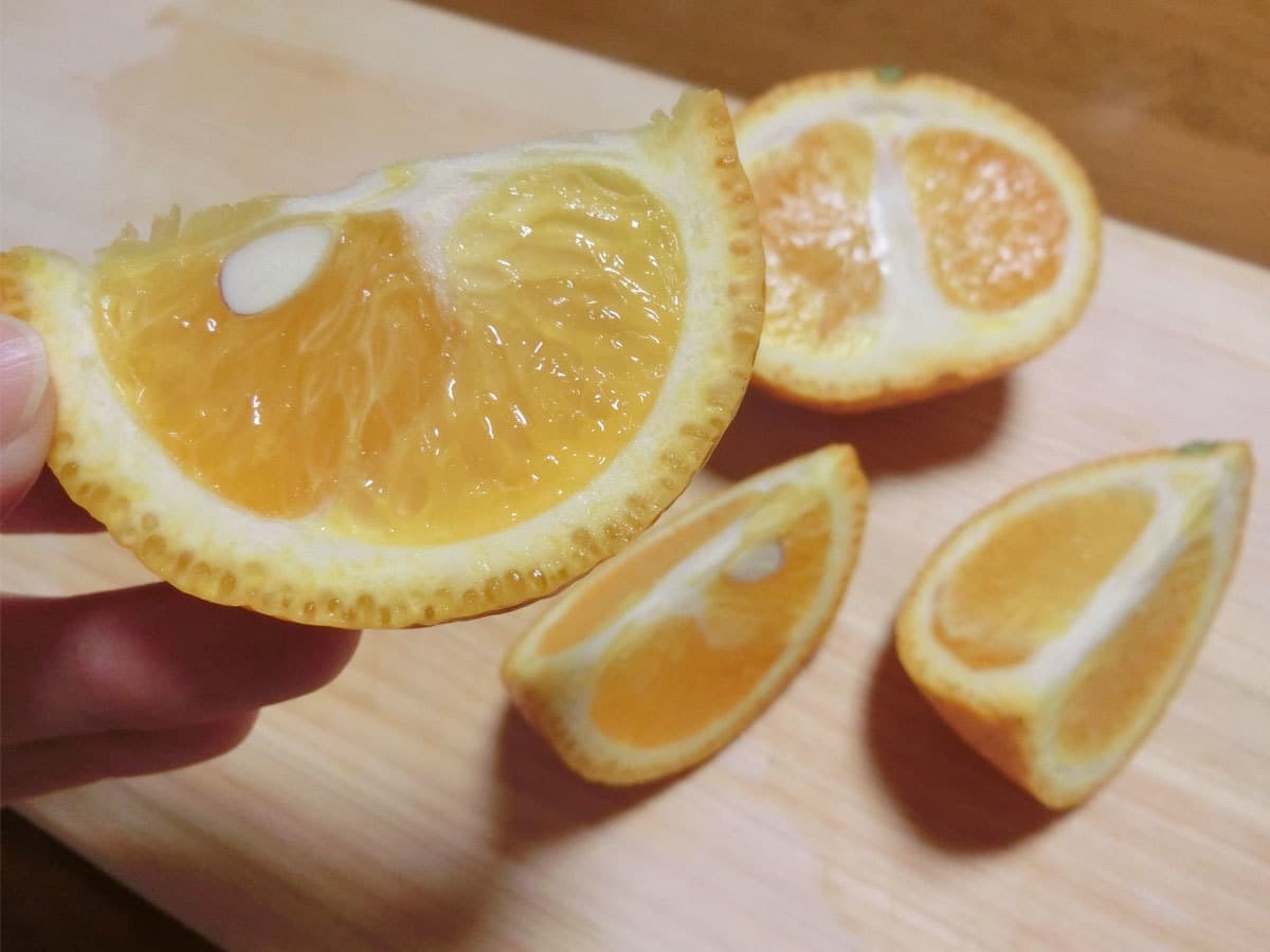 【佐藤農場】有機スイートスプリング 注文レポート