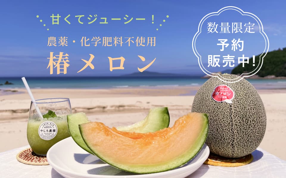 初夏の味覚🍈農薬不使用メロン🍈旬の美味しさをご自宅にお届けします！