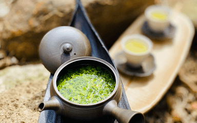 香り高き“旬”の新茶🍵2026年の新茶、ご予約始まりました！