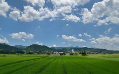 気候が揺れた年に、それでも続くつくり手の営み