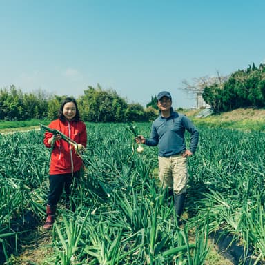高温と種の発芽不良：土地に合った栽培方法を模索する一年