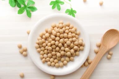大豆イソフラボンだけじゃない、更年期に効く食べ物