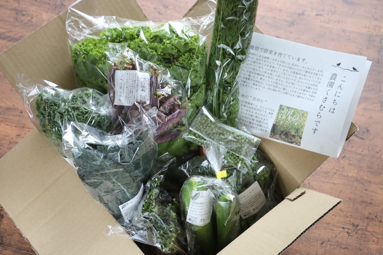 農園くさむら無農薬 野菜セット注文レポート