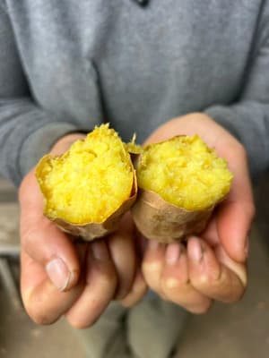 農園ベルの樹オープン記念クーポン
