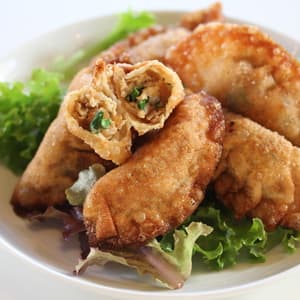 鶏肉とごぼう味噌の揚げ餃子