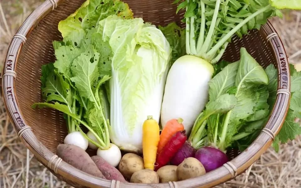秋野菜特集