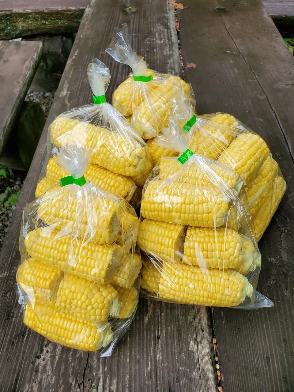 《2025終了》無農薬 朝採り皮むきトウモロコシ（約4.5Kg）