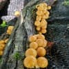 サムネイル 3