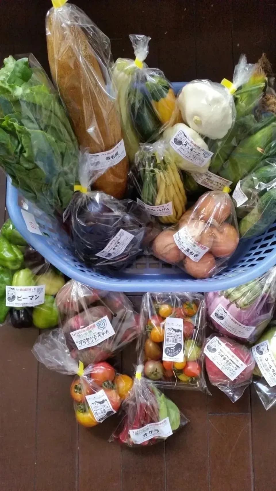 【定期購入】 シードマイスターが作る無農薬季節の変わり野菜セット 