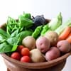 Mサイズ（旬のお野菜　おまかせ5～6種）