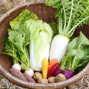 草の堆肥と雨水だけの自然農法で育てた旬の固定種野菜セット【農薬不使用・無肥料】
