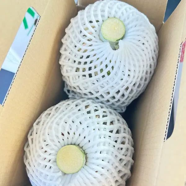 常温発送　2〜3玉