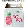 サムネイル 9