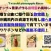 サムネイル 6