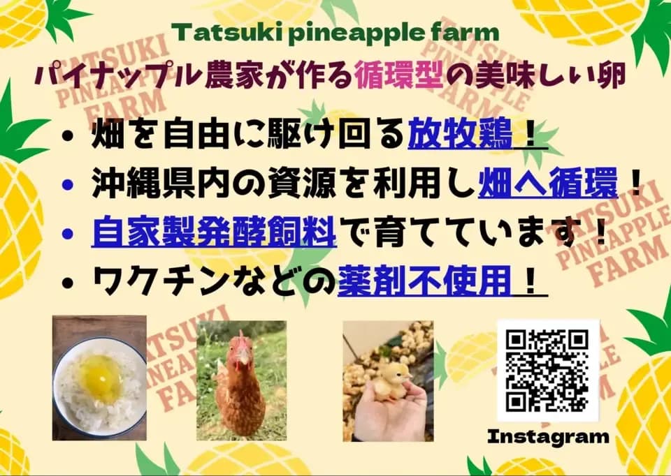 放牧卵/パイナップルのために育てた卵/自家製発酵飼料でヒヨコから育てました