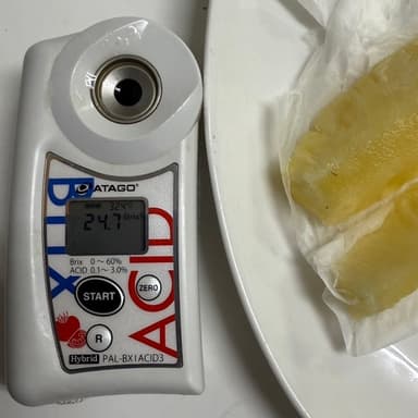 パイナップル、どうりで！この甘さ！