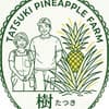 樹パイナップルファームについて