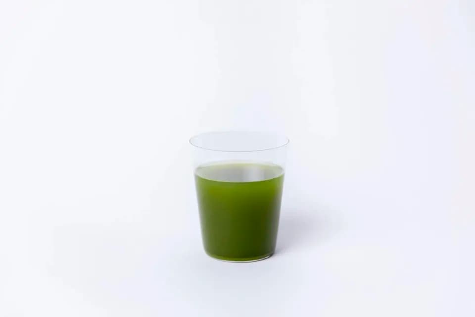 無農薬・無化学肥料栽培＜モリンガパウダー＞知覧茶製法・無添加・朝摘み