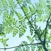 サムネイル 8