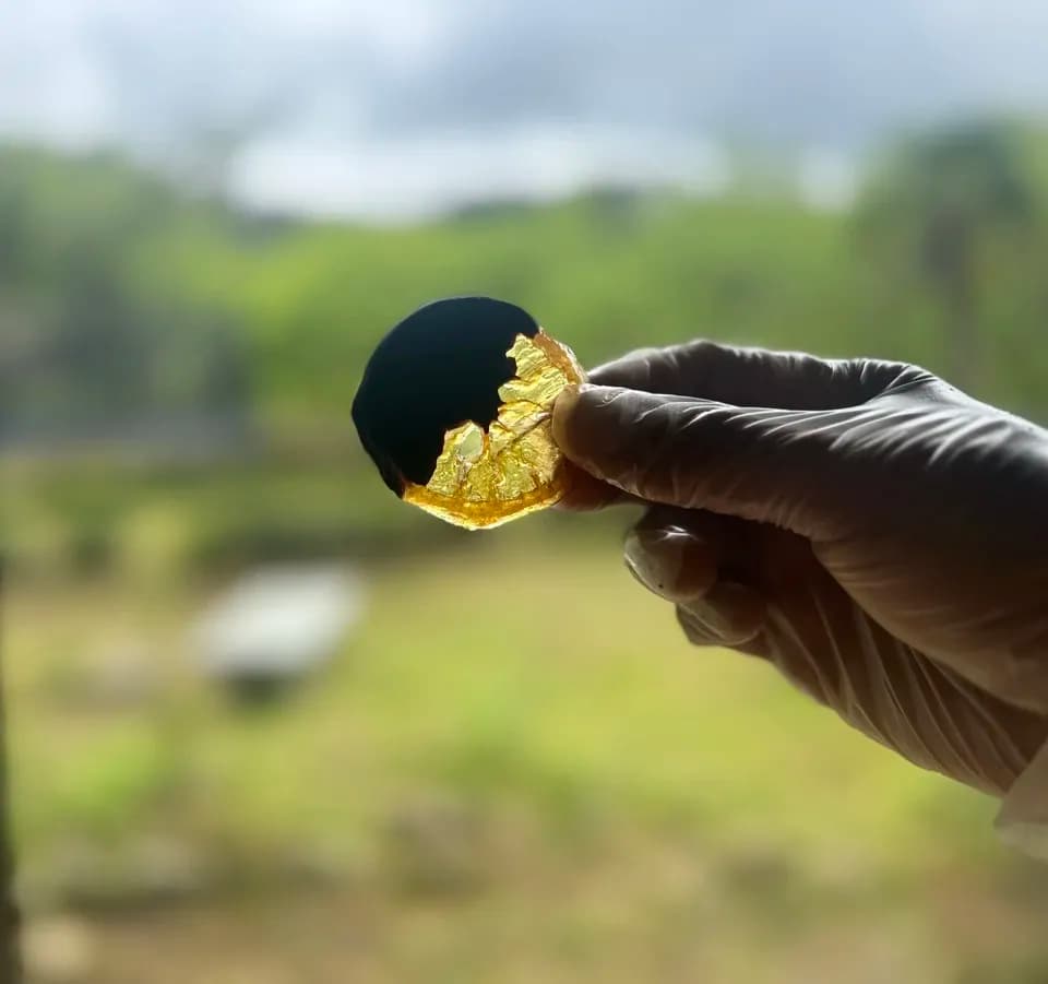 【母の日限定】宮崎の大地を、ひと箱に。｜無農薬ハーブティー＆無添加Bean to Bar日向夏オランジェット