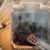 サムネイル 3