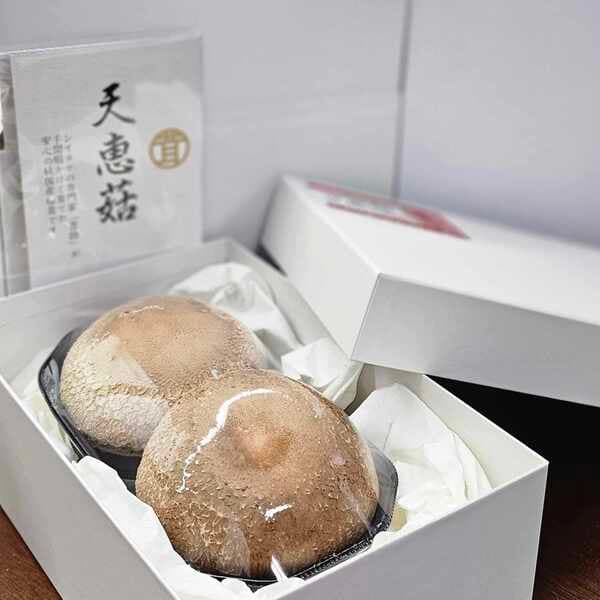 【化粧箱入り】特級品 極大サイズ