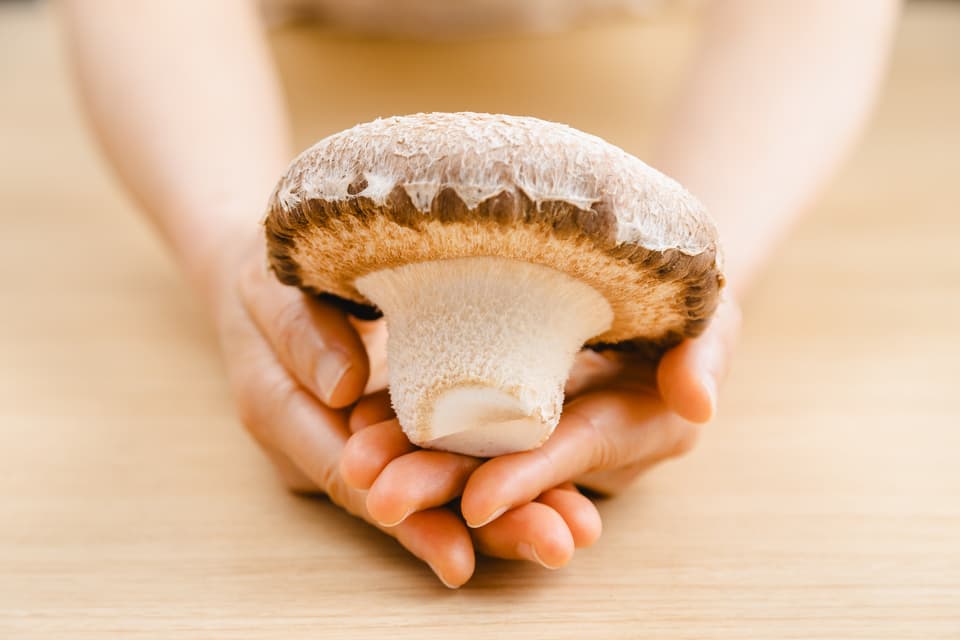 徳島県産希少種の肉厚椎茸＜天恵菇＞農薬化学肥料不使用・ギフトやお裾分けにも◎