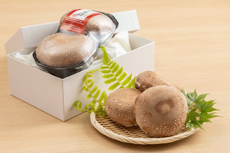 徳島県産希少種の肉厚椎茸＜天恵菇＞農薬化学肥料不使用・ギフトやお裾分けにも◎