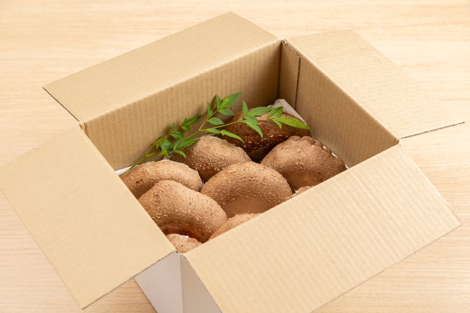 徳島県産希少種の肉厚椎茸＜天恵菇＞農薬化学肥料不使用・ギフトやお裾分けにも◎
