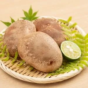 徳島県産希少品種　三ツ星しいたけ恵の口コミ・レビュー(Pinkrider841さん)
