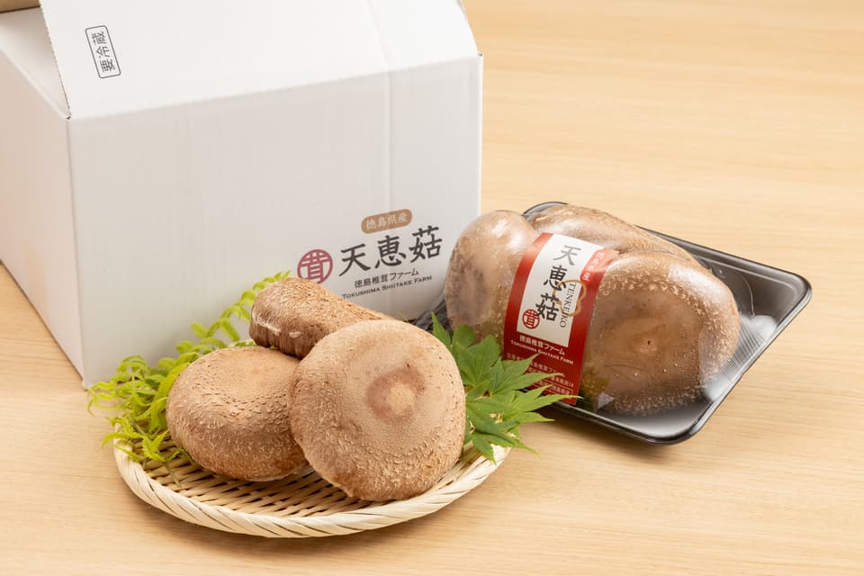 【贈り物に】徳島県産希少種の肉厚椎茸＜天恵菇＞を丸ごと味わう贅沢ギフトセット有機菌床栽培・農薬化学肥料不使用・ギフトやお裾分けにも◎